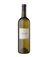 FERGHETTINA Curtefranca Bianco 2021 Cl.75