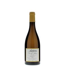 DUE DEL MONTE Ribolla Gialla Collio DOC 2019 cl.75