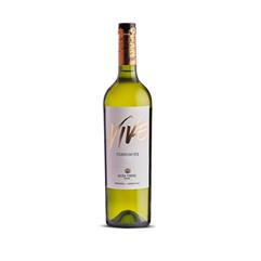 ALTA VISTA Torrontes 2022 Cl.75