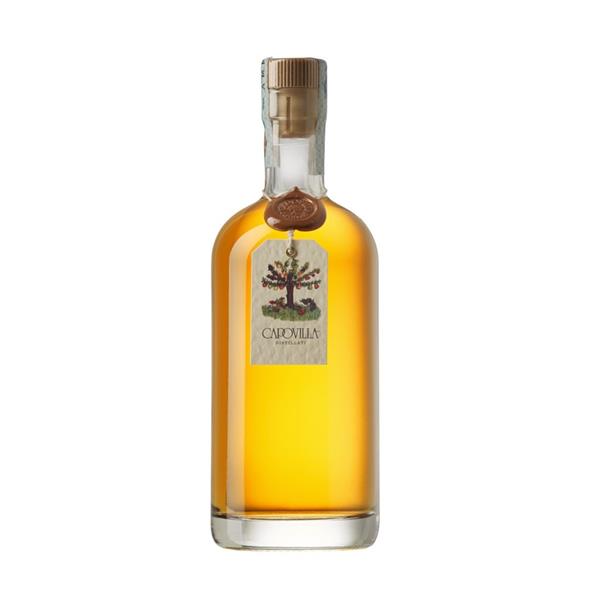 CAPOVILLA Brandy Cl.50