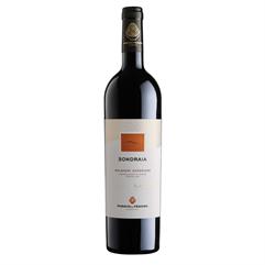 POGGIO AL TESORO Bolgheri Superiore SONDRAIA 2019 cl.75 15°