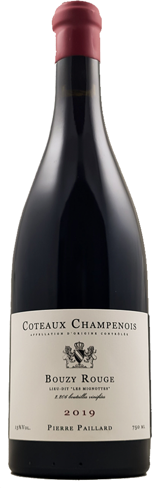 PIERRE PAILLARD Coteaux Champenois Rouge Les Mignottes 2019 cl 75