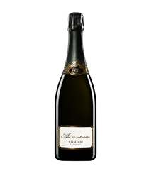 FERGHETTINA Franciacorta ROSE' MAGNUM 2019 LT 1,5