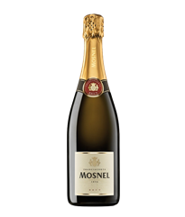 MOSNEL Franciacorta EBB Blanc de Blancs 2016 cl.75