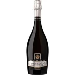 MONTELLIANA Prosecco Extra-Dry Treviso Doc Magnum cl.150