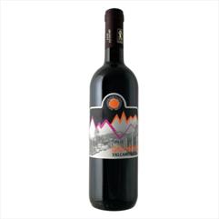 AGRICOLA VALLECAMONICA Rosso CIASS NEGHER 2019 cl.75