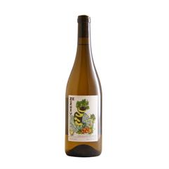 BERET Ze Chenin Blanc 2021 Cl 75