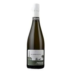 MOUSSE Champagne Terre d'Illite Blanc de Noir Extra Brut 2019 Cl.75