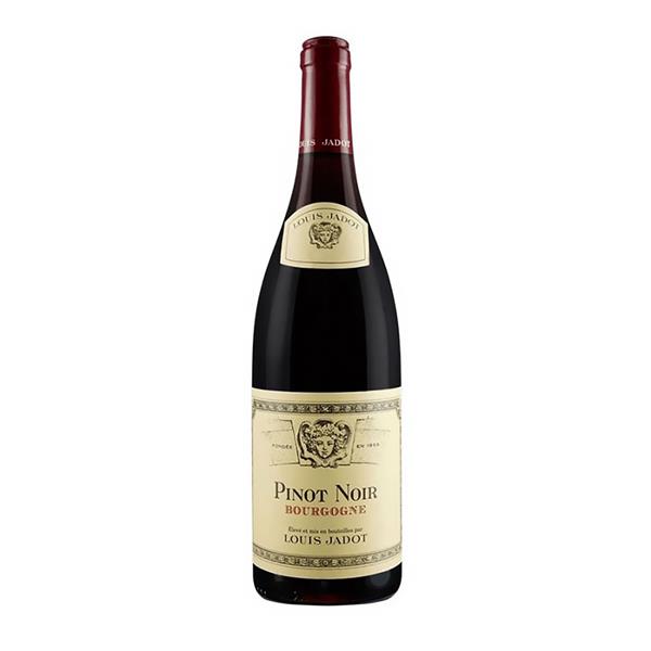 LOUIS JADOT Pinot Noir Bourgogne Rouge 2021 Cl.75 13°