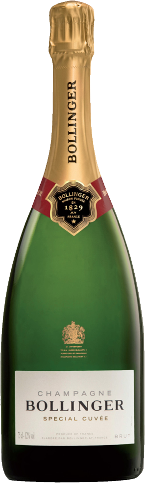 BOLLINGER Special Cuvée Magnum Cl 150